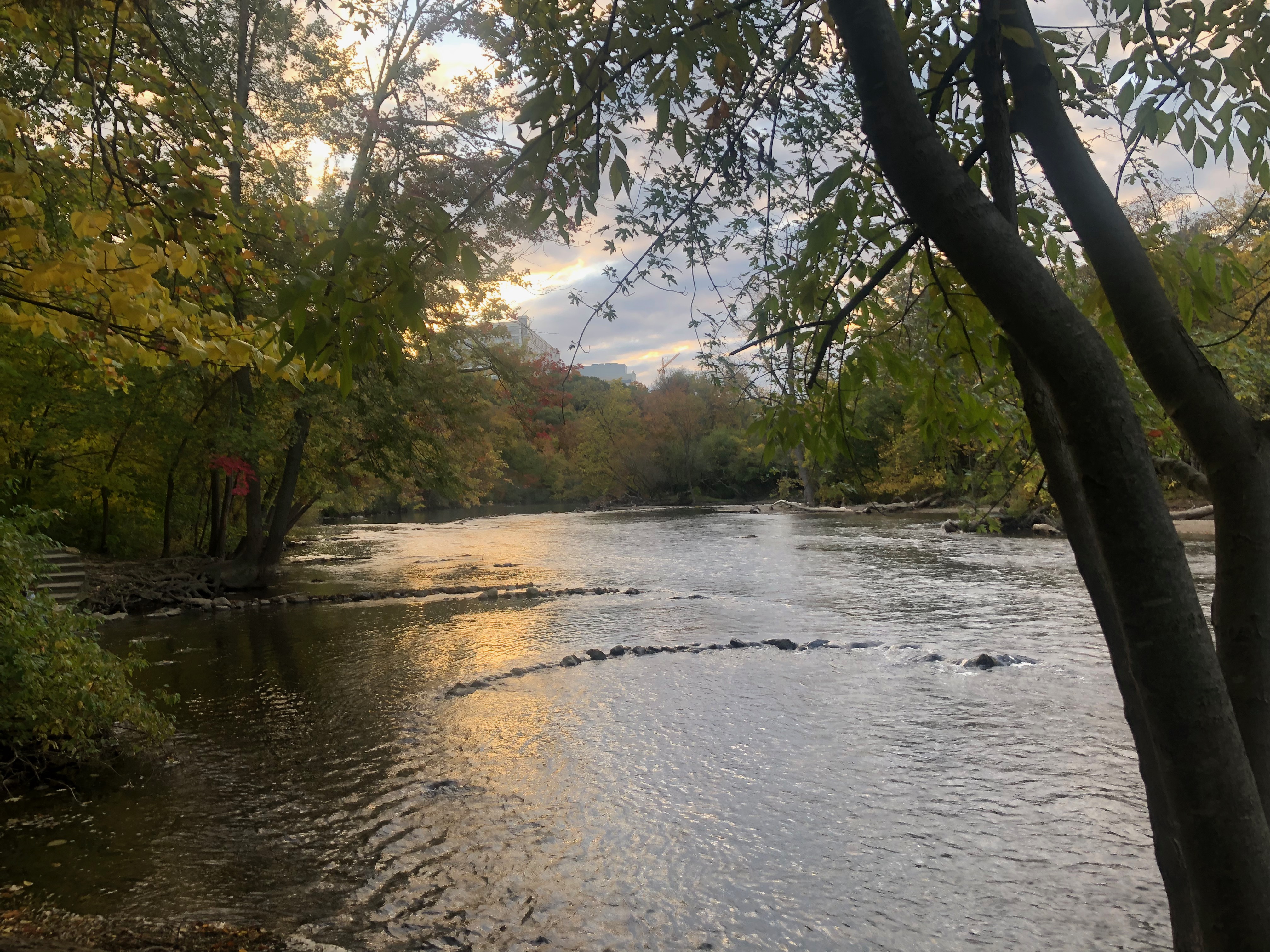 Ann Arbor