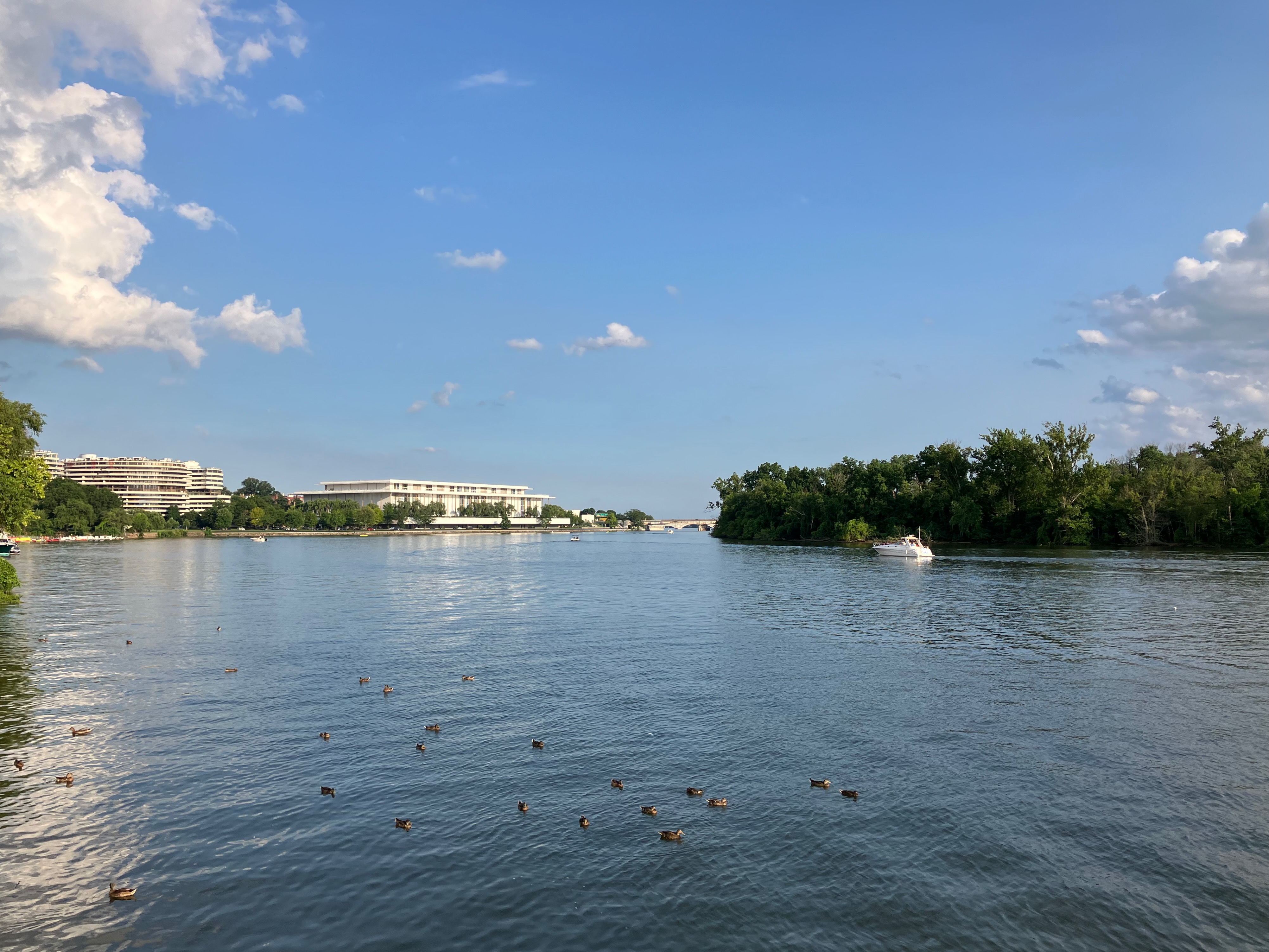 DC
