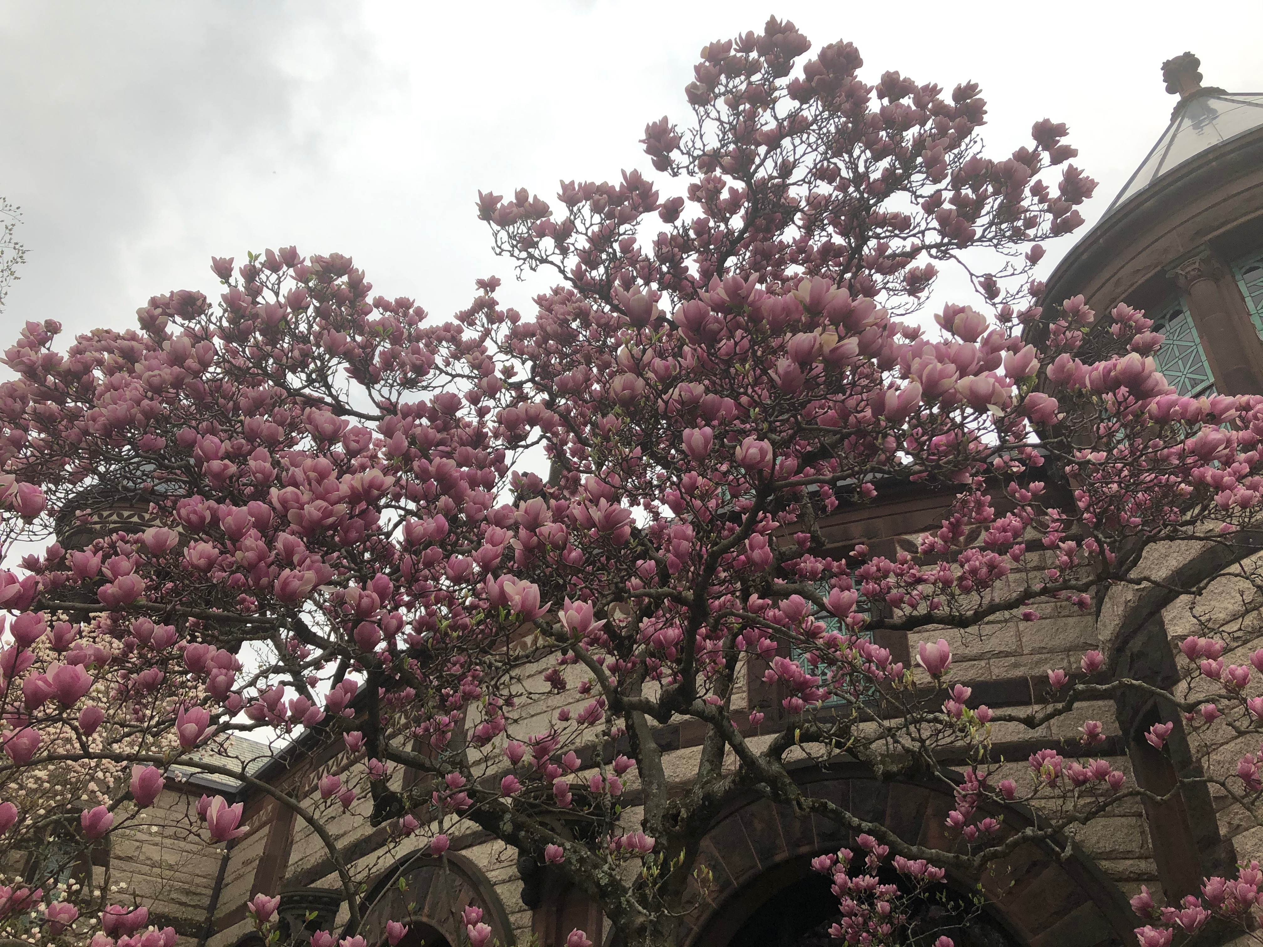 Princeton - Richardson