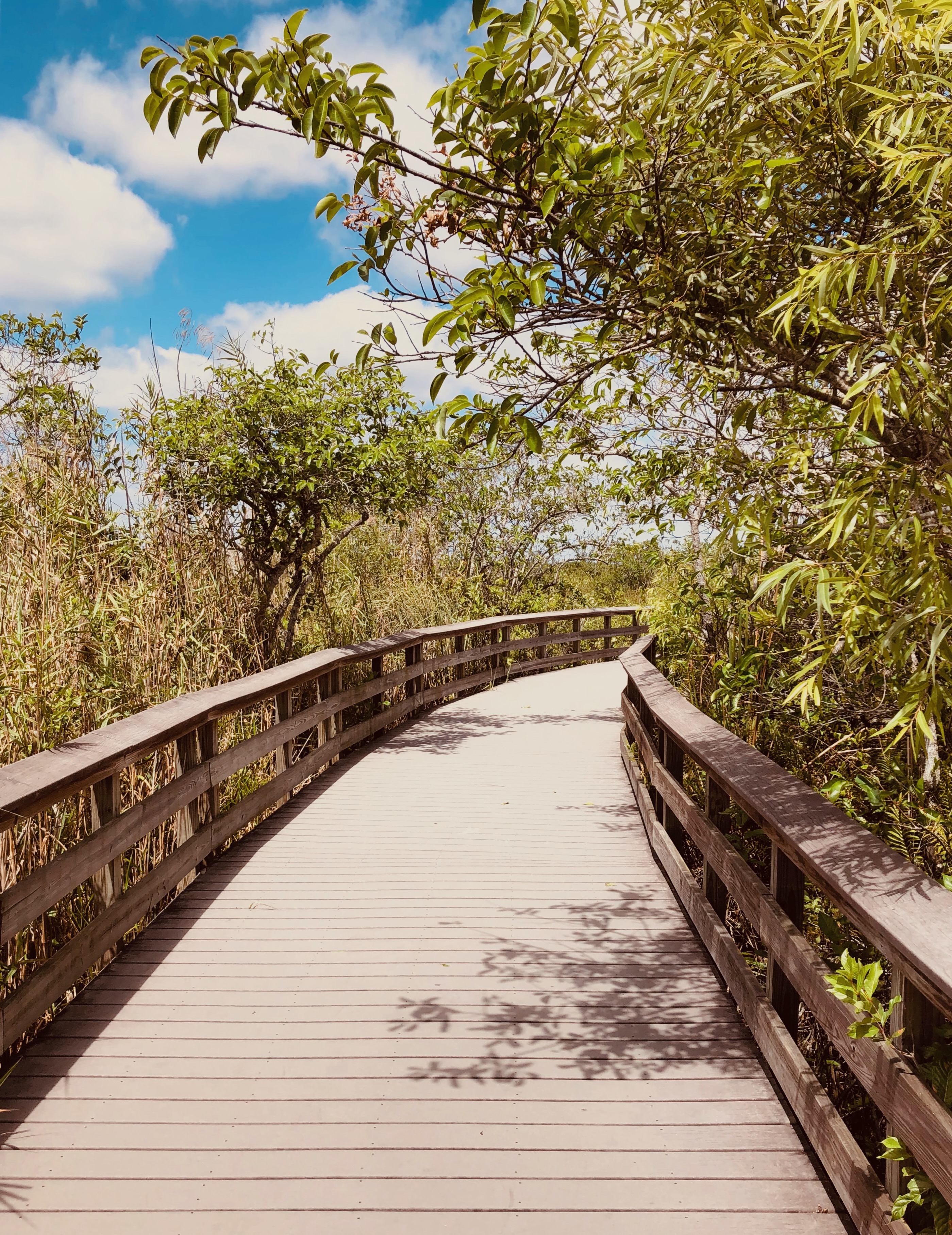 Everglades